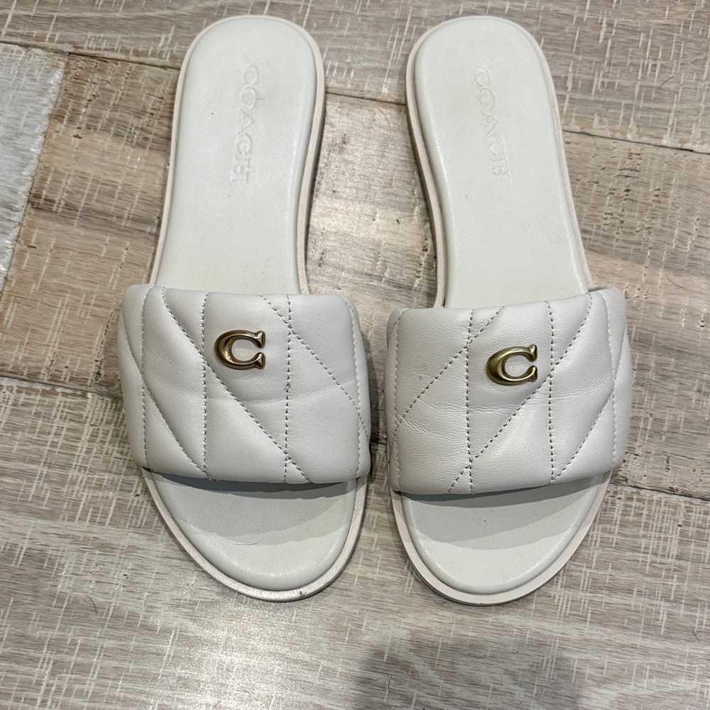 Coach slides